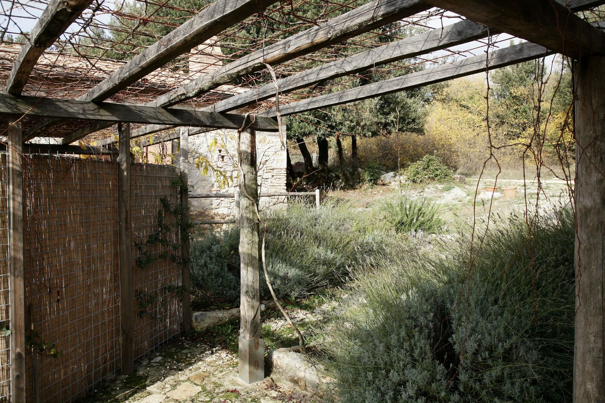 Agriturismo Surripa أميليا المظهر الخارجي الصورة